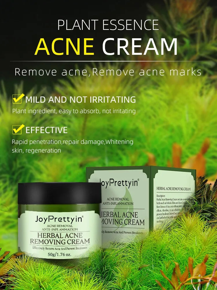 AcneErase Herbal Treatment Cream — Reduce Breakouts, Fade Marks, Moisturize All Day